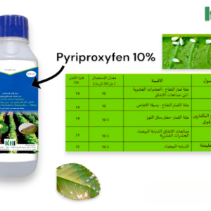 #PYRIPROXYFEN 10% EC يمنع #PYRIPROXYFEN التطور النموذجي وقدرة الحشرات غير الناضجة من الوصول إلى مرحلة البلوغ. و يعمل على الحد من تكاثر #الحشرات عن طريق التسبب في حشرات البالغين، وانخفاض إنتاج البيض، وتعديلات السلوك، وتشوه الحشرات والموت. كما يمكن استخدام #PYRIPROXYFEN في برنامج #الإدارة_المتكاملة للآفات (#IPM) للمساعدة في الوقاية من مقاومة الحشرات.