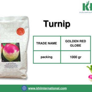 TURNIP (بذور اللفت)