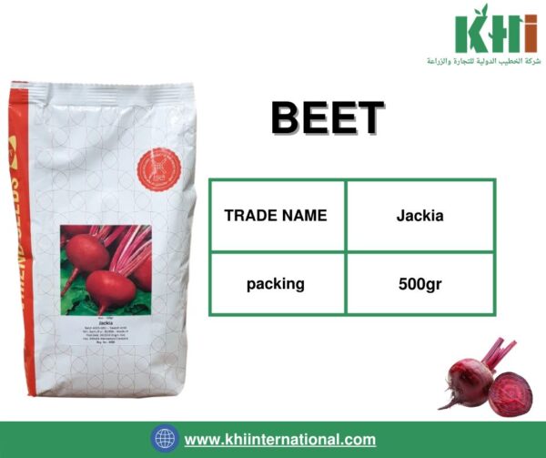 BEET (بذور الشمندر)