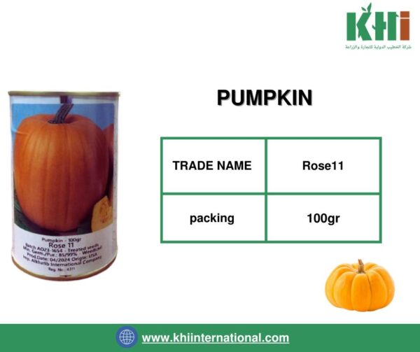 PUMPKIN (بذور اليقطين)