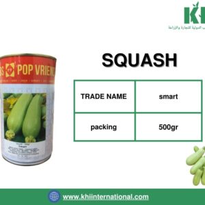 SQUASH (بذور الكوسا)