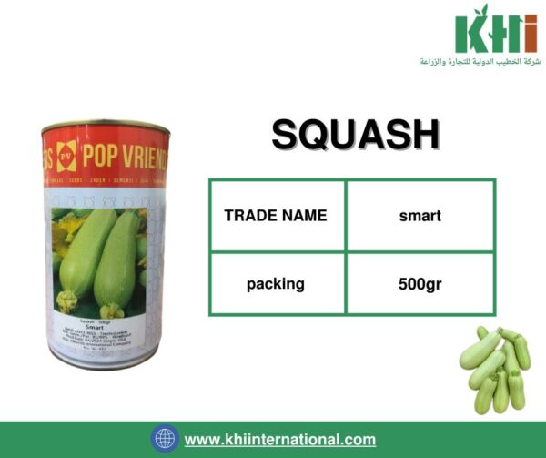 SQUASH (بذور الكوسا)