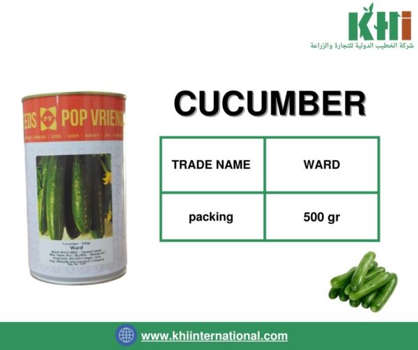 CUCUMBER